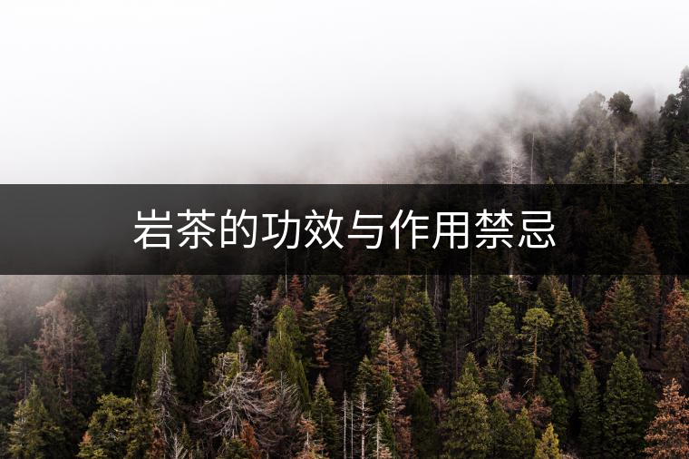 巖茶的功效與作用禁忌 巖茶的功效與作用禁忌