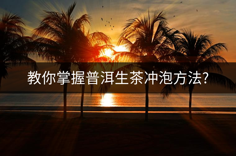 教你掌握普洱生茶沖泡方法? 教你掌握普洱生茶沖泡方法?