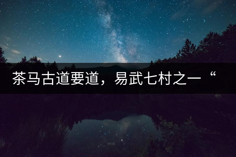 茶馬古道要道，易武七村之一“張家灣”古茶園