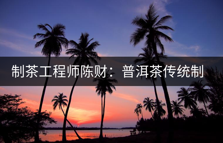 制茶工程師陳財:普洱茶傳統(tǒng)制作技藝要不斷繼承與保護 制茶工程師陳財:普洱茶傳統(tǒng)制作技藝要不斷繼承與保護