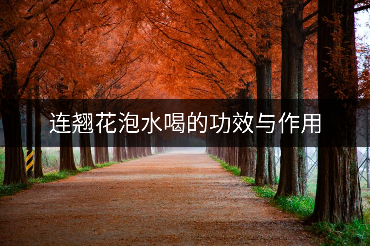 連翹花泡水喝的功效與作用