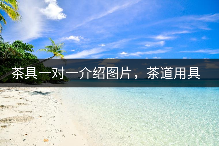 茶具一對一介紹圖片，茶道用具圖解