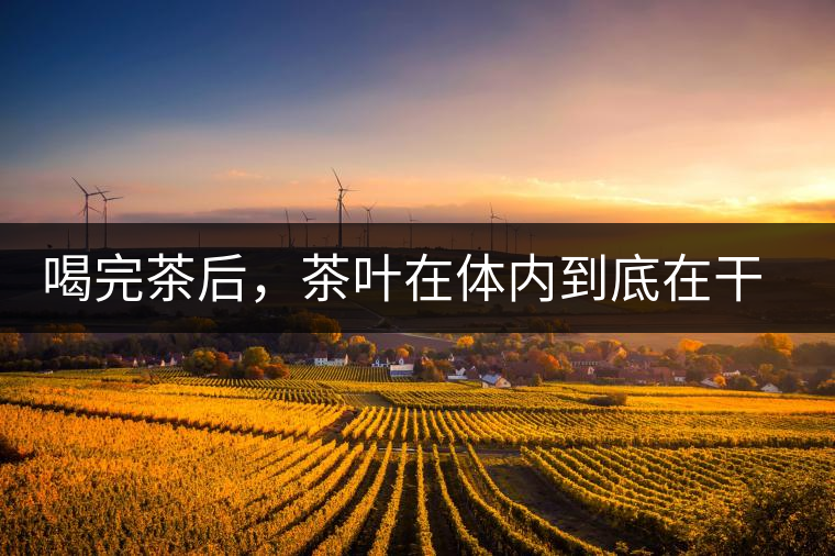 喝完茶后，茶葉在體內(nèi)到底在干嘛，游走的茶水