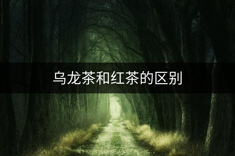 烏龍茶和紅茶的區(qū)別 烏龍茶和紅茶的區(qū)別