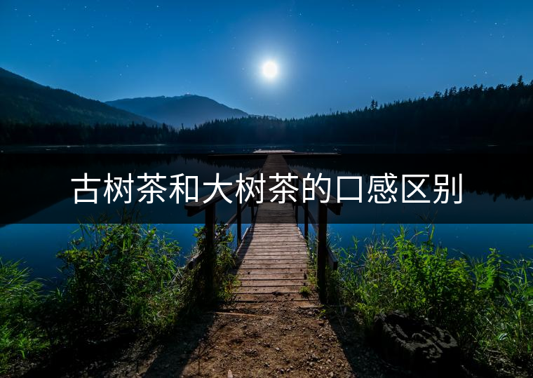 古樹茶和大樹茶的口感區(qū)別 古樹茶和大樹茶的口感區(qū)別