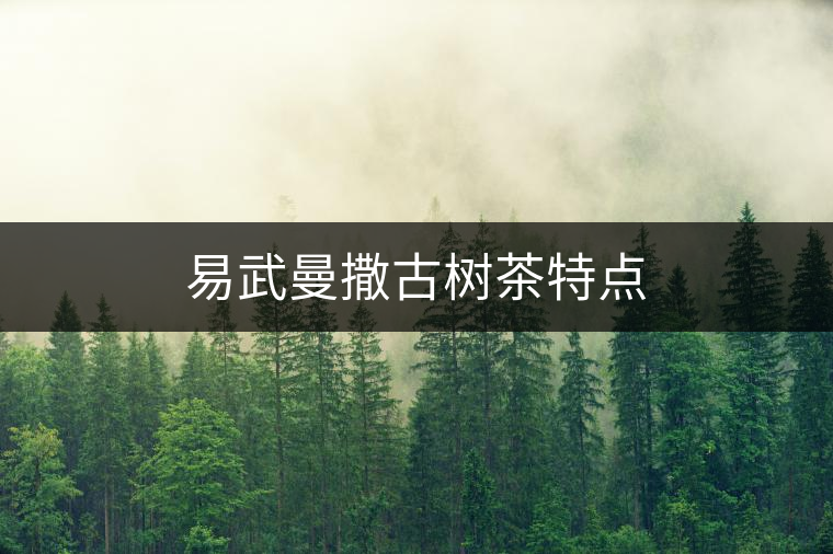 易武曼撒古樹茶特點(diǎn) 易武曼撒古樹茶特點(diǎn)
