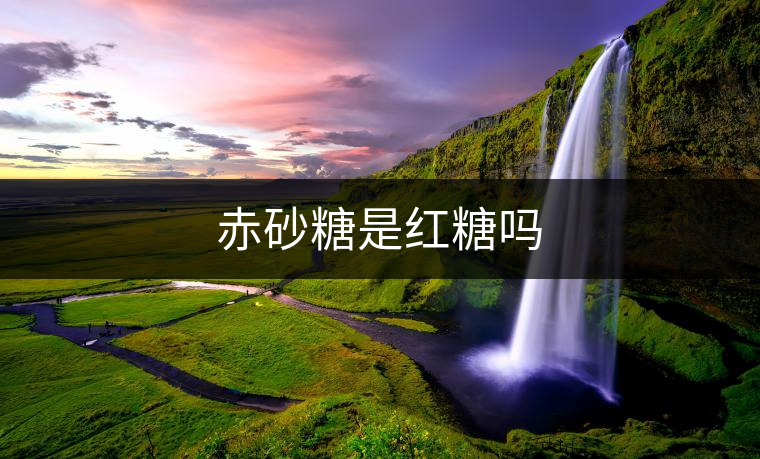 赤砂糖是紅糖嗎 赤砂糖是紅糖嗎