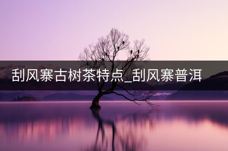刮風(fēng)寨古樹茶特點_刮風(fēng)寨普洱茶口感 刮風(fēng)寨古樹茶特點_刮風(fēng)寨普洱茶口感