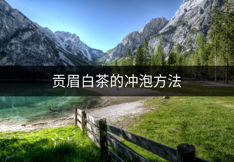 貢眉白茶的沖泡方法 貢眉白茶的沖泡方法