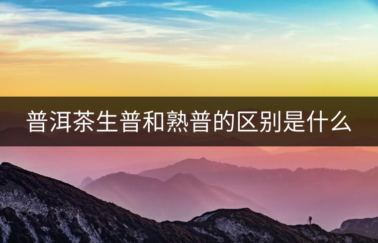 普洱茶生普和熟普的區(qū)別是什么 普洱茶生普和熟普的區(qū)別是什么