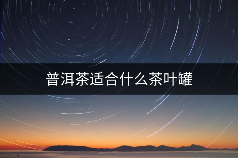 普洱茶適合什么茶葉罐