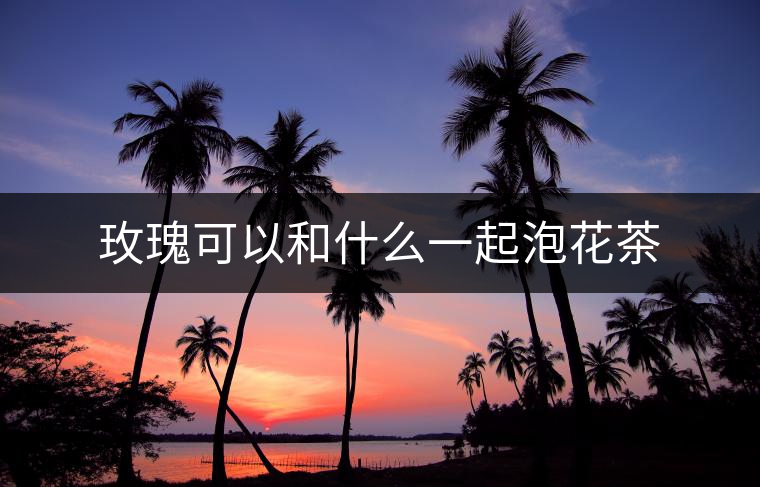 玫瑰可以和什么一起泡花茶