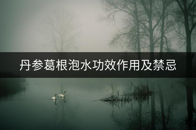 丹參葛根泡水功效作用及禁忌 丹參葛根泡水功效作用及禁忌