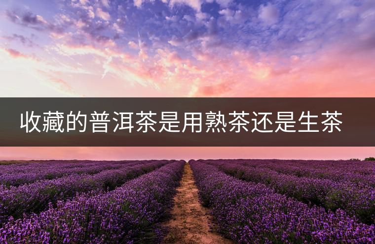 收藏的普洱茶是用熟茶還是生茶好 收藏的普洱茶是用熟茶還是生茶好