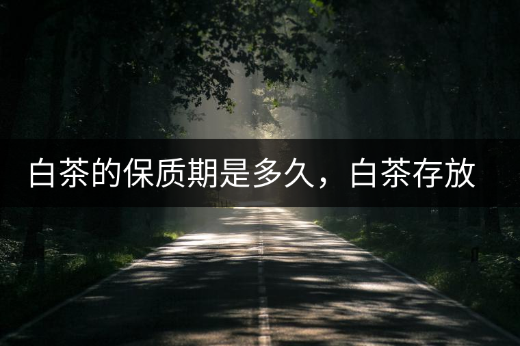 白茶的保質(zhì)期是多久，白茶存放多長(zhǎng)時(shí)間好喝