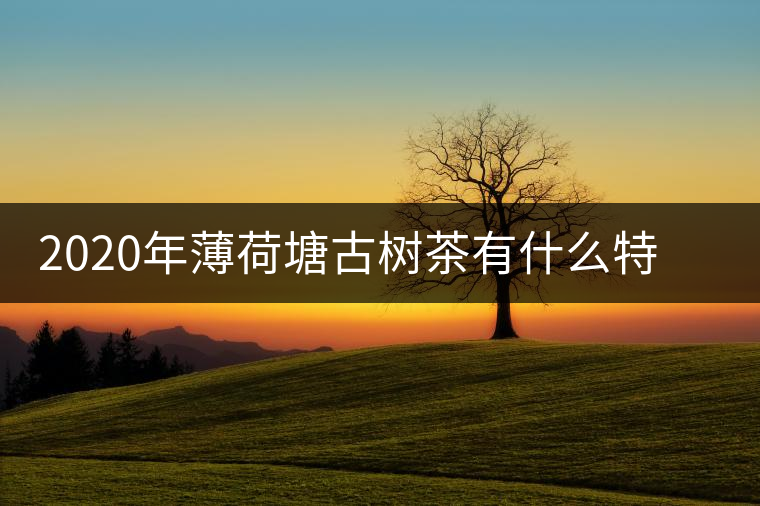 2020年薄荷塘古樹茶有什么特征？薄荷塘的價格及產(chǎn)量如何？-易武中聘號