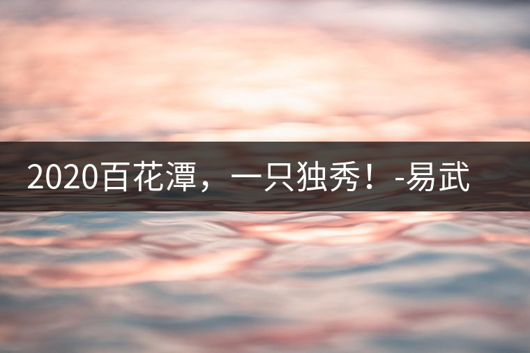 2020百花潭，一只獨秀！-易武中聘號