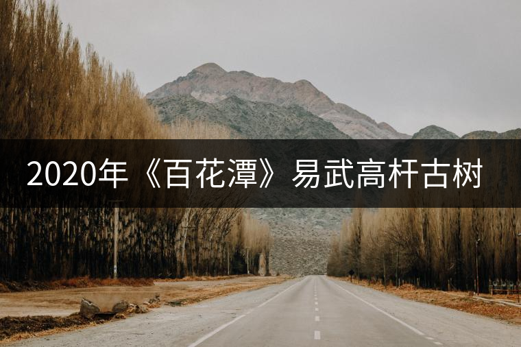 2020年《百花潭》易武高桿古樹茶中貴族-易武中聘號 2020年《百花潭》易武高桿古樹茶中貴族-易武中聘號