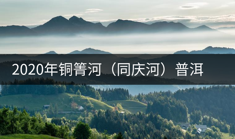 2020年銅箐河（同慶河）普洱茶，野味真難尋！-易武中聘號(hào)
