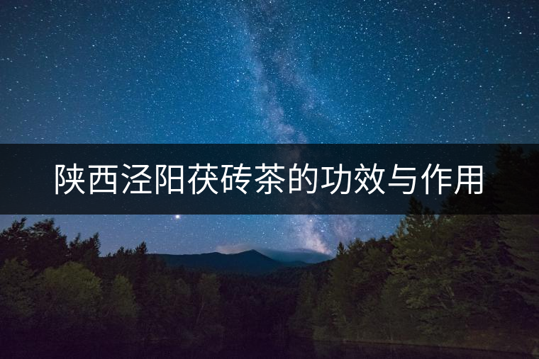 陜西涇陽茯磚茶的功效與作用 陜西涇陽茯磚茶的功效與作用