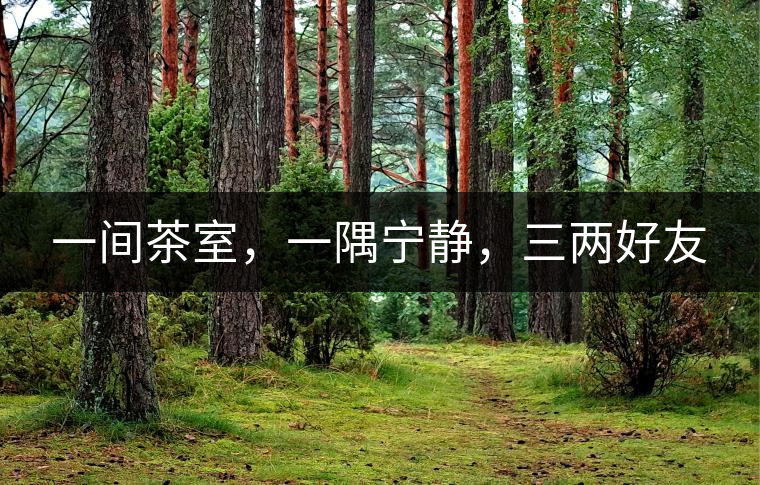 一間茶室，一隅寧?kù)o，三兩好友