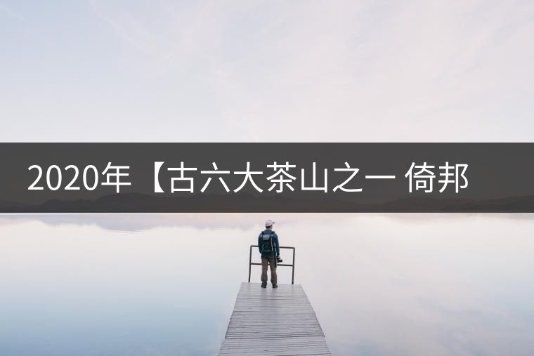 2020年【古六大茶山之一 倚邦】-易武中聘號 2020年【古六大茶山之一 倚邦】-易武中聘號