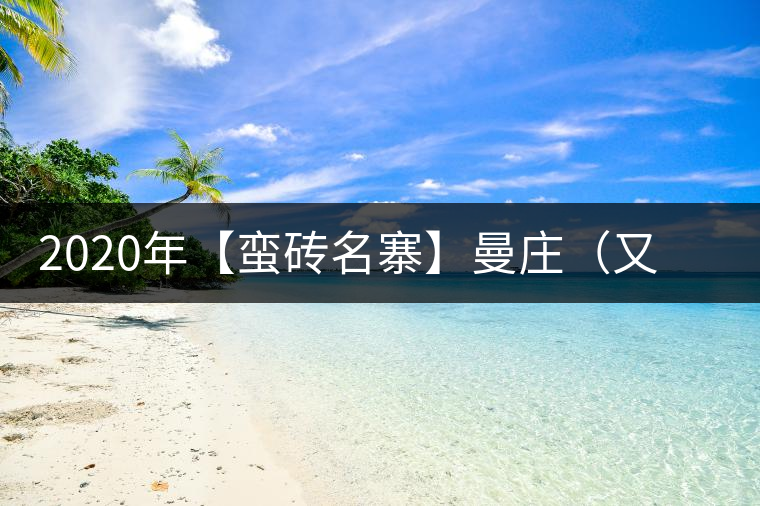 2020年【蠻磚名寨】曼莊（又作：蠻磚、曼磚）-易武中聘號