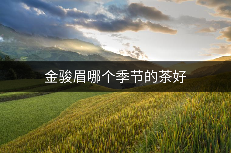 金駿眉哪個(gè)季節(jié)的茶好 金駿眉哪個(gè)季節(jié)的茶好