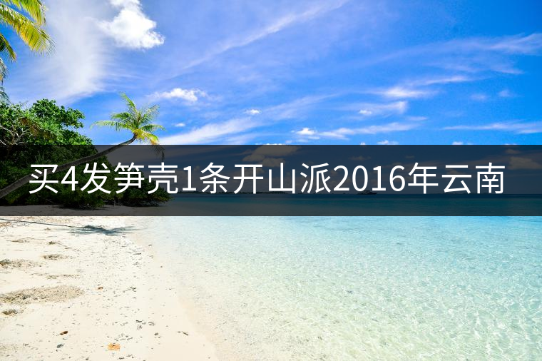 買4發(fā)筍殼1條開山派2016年云南普洱甲級(jí)7年料沱茶100g普洱茶 生茶 買4發(fā)筍殼1條開山派2016年云南普洱甲級(jí)7年料沱茶100g普洱茶 生茶