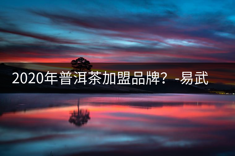 2020年普洱茶加盟品牌？-易武中聘號(hào)