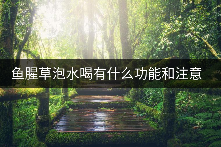 魚腥草泡水喝有什么功能和注意什么 魚腥草泡水喝有什么功能和注意什么