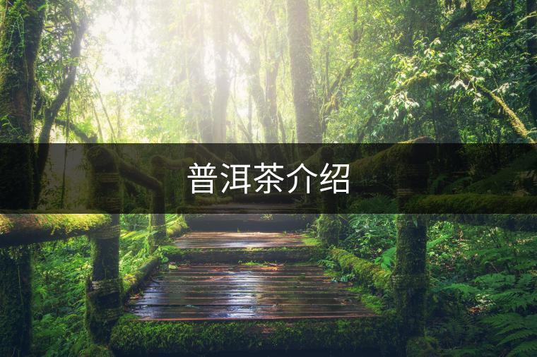普洱茶介紹 普洱茶介紹