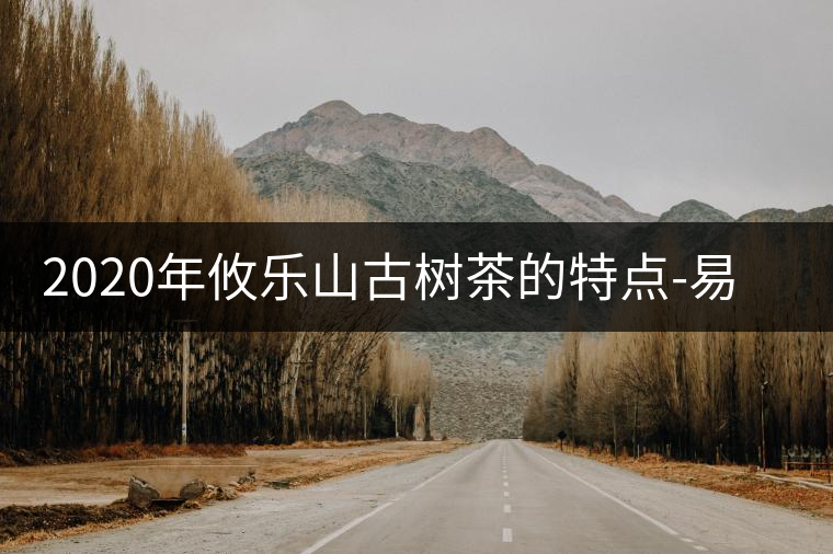 2020年攸樂山古樹茶的特點(diǎn)-易武中聘號(hào) 2020年攸樂山古樹茶的特點(diǎn)-易武中聘號(hào)