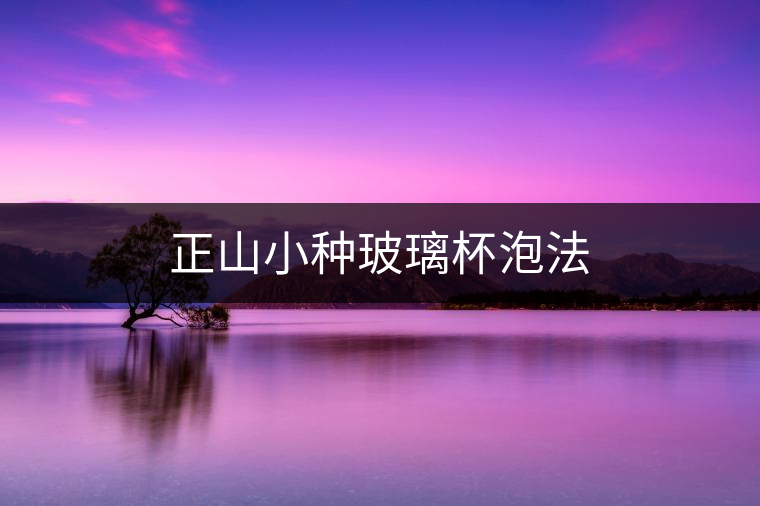 正山小種玻璃杯泡法 正山小種玻璃杯泡法