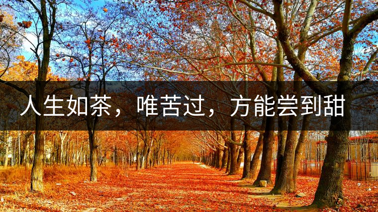 人生如茶，唯苦過，方能嘗到甜滋味