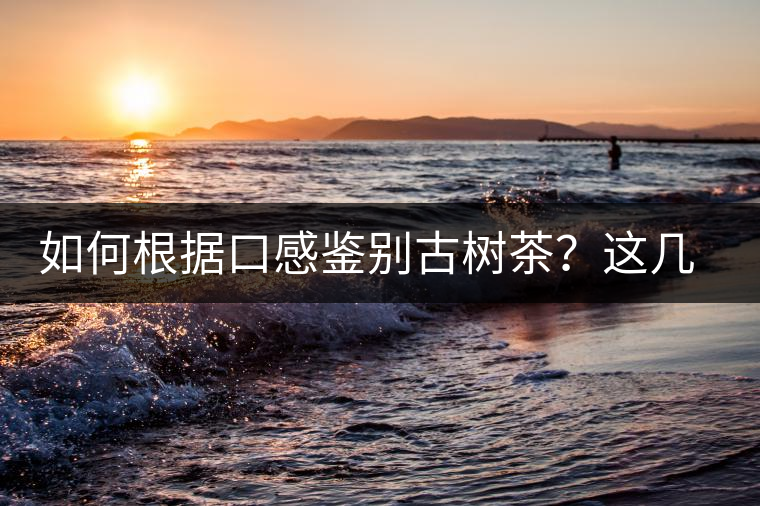 如何根據(jù)口感鑒別古樹茶？這幾個(gè)技巧值得收藏