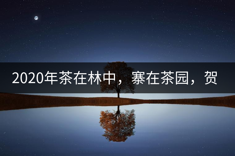 2020年茶在林中，寨在茶園，賀開古樹茶-易武中聘號(hào)