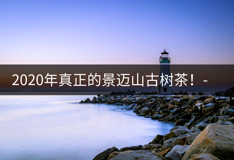 2020年真正的景邁山古樹(shù)茶！-易武中聘號(hào)