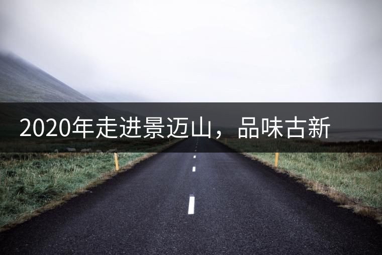 2020年走進景邁山，品味古新六大茶山古樹茶之韻-易武中聘號