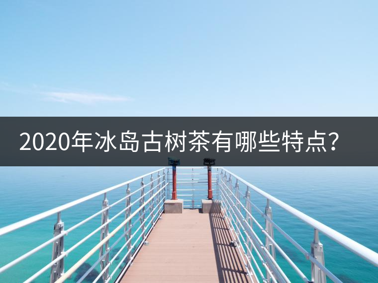 2020年冰島古樹(shù)茶有哪些特點(diǎn)？-易武中聘號(hào)