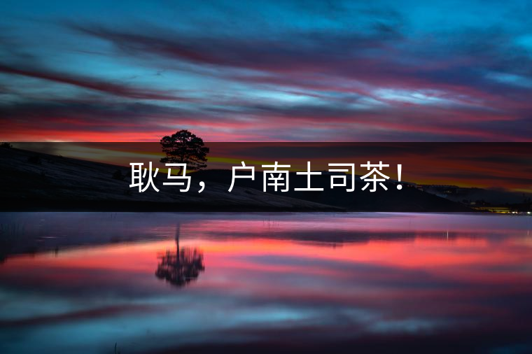 耿馬，戶南土司茶！