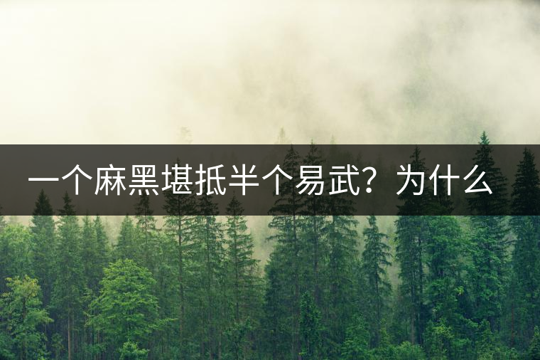 一個麻黑堪抵半個易武？為什么這么好喝？