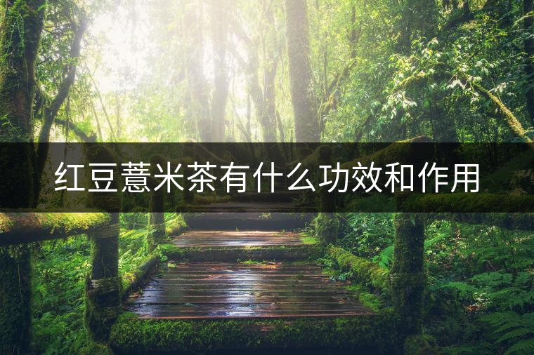 紅豆薏米茶有什么功效和作用