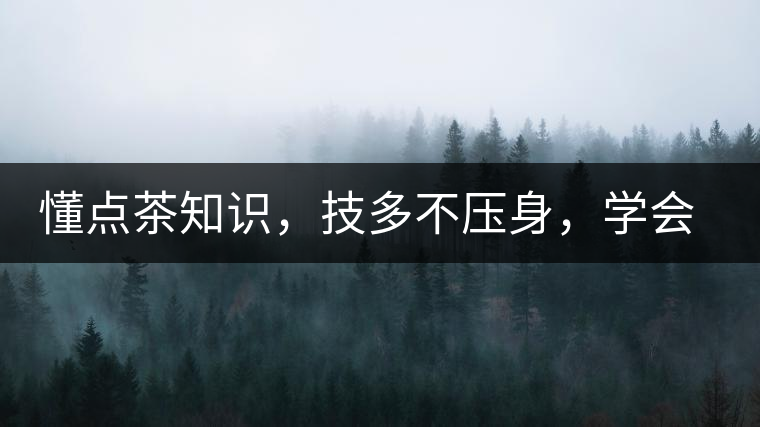 懂點(diǎn)茶知識(shí)，技多不壓身，學(xué)會(huì)這些秒變茶藝高手
