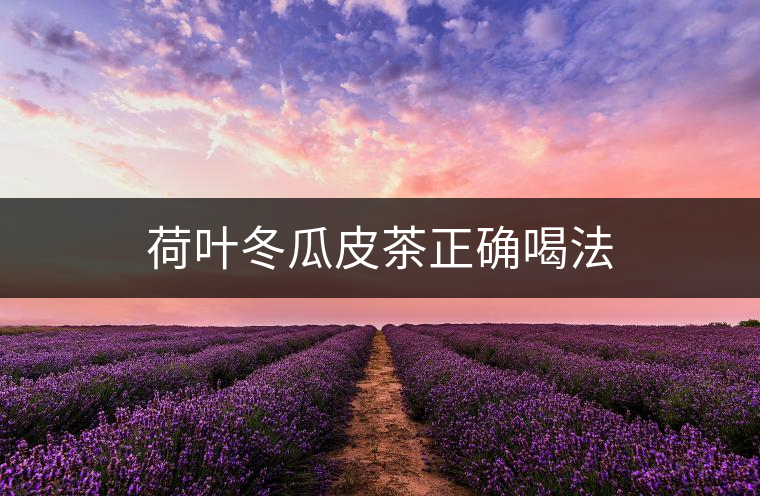 荷葉冬瓜皮茶正確喝法 荷葉冬瓜皮茶正確喝法