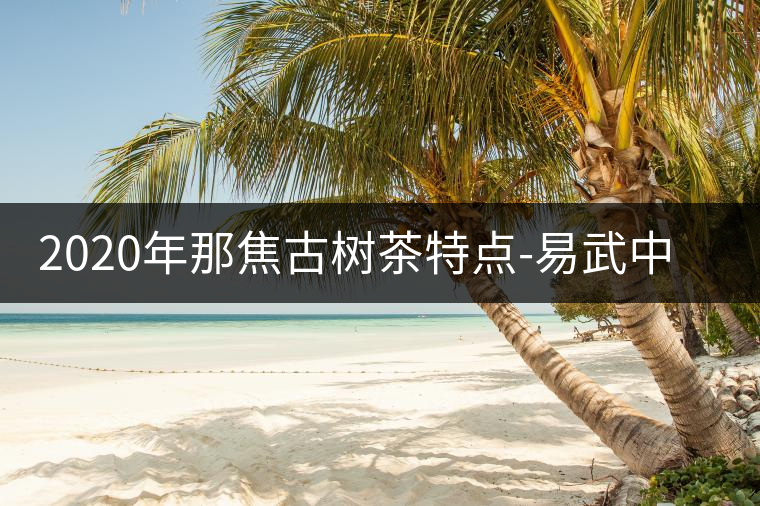 2020年那焦古樹茶特點-易武中聘號 2020年那焦古樹茶特點-易武中聘號