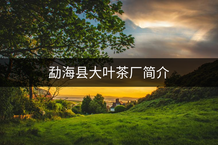 勐??h大葉茶廠簡介 勐??h大葉茶廠簡介
