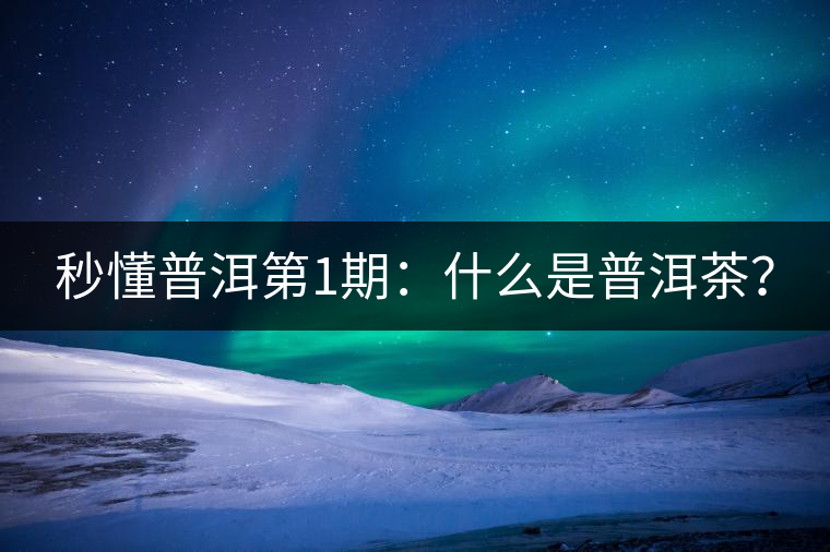 秒懂普洱第1期：什么是普洱茶？