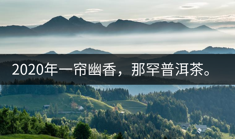 2020年一簾幽香，那罕普洱茶。-易武中聘號(hào)