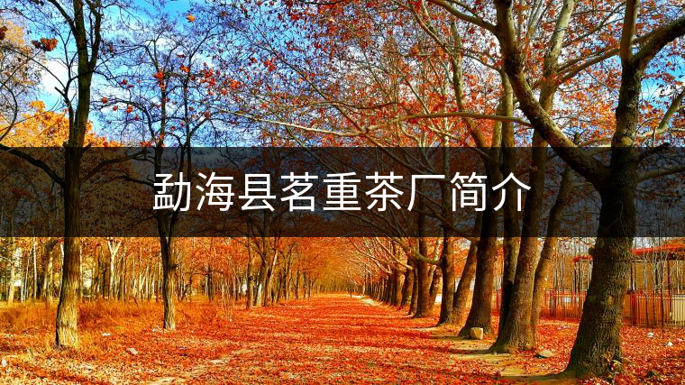 勐?？h茗重茶廠簡介